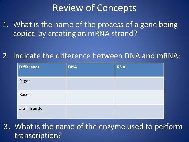 Review of Concepts 1. What is the name of the process of a gene