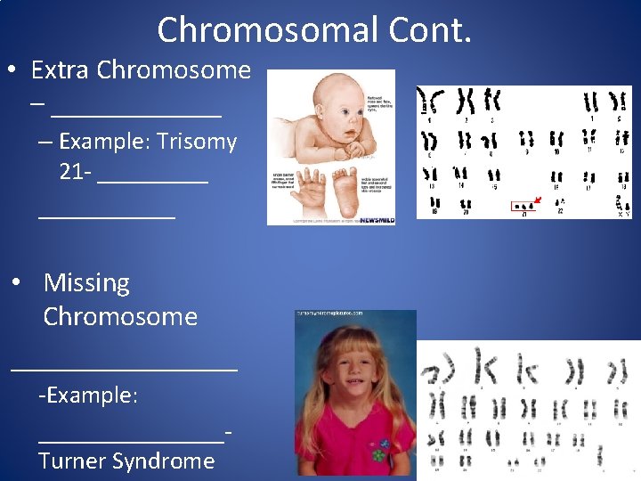 Chromosomal Cont. • Extra Chromosome – ______ – Example: Trisomy 21 - ___________ •