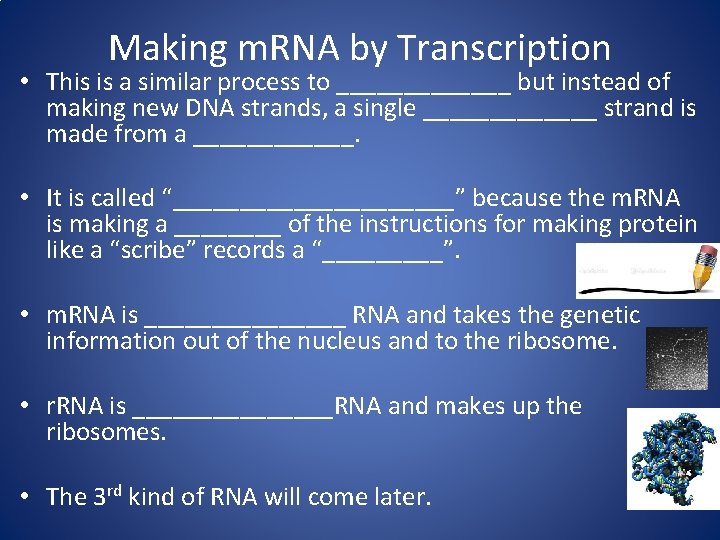 Making m. RNA by Transcription • This is a similar process to _______ but