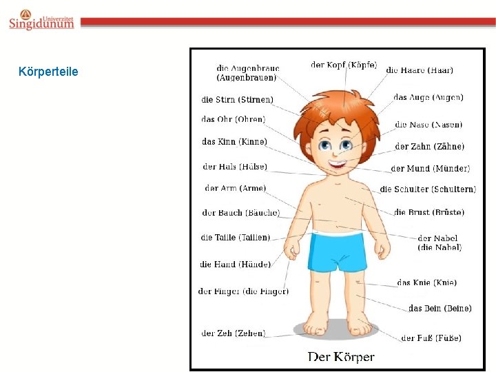 Körperteile 