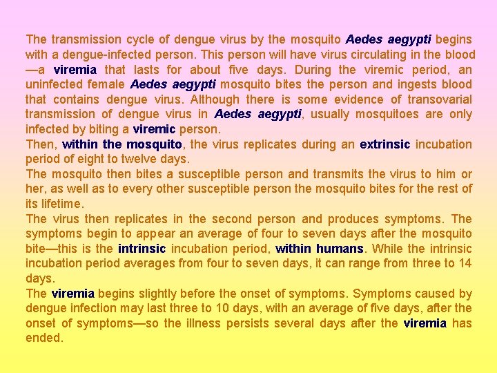 The transmission cycle of dengue virus by the mosquito Aedes aegypti begins with a
