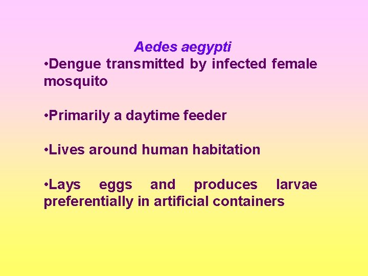 Aedes aegypti • Dengue transmitted by infected female mosquito • Primarily a daytime feeder