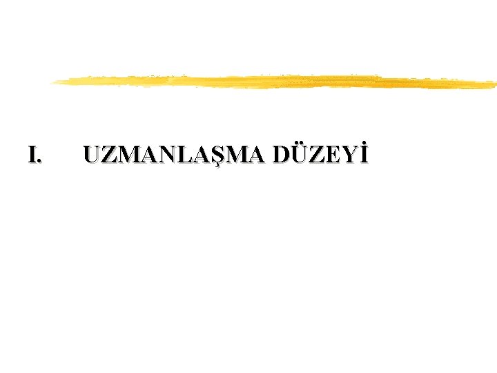 I. UZMANLAŞMA DÜZEYİ 