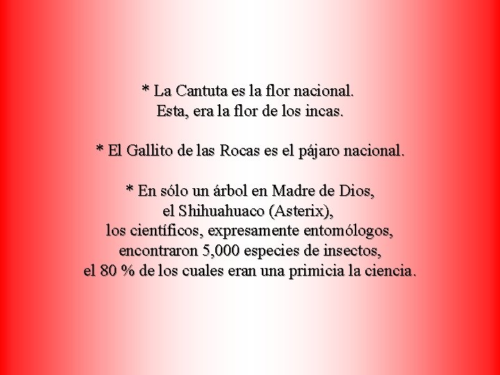 * La Cantuta es la flor nacional. Esta, era la flor de los incas.