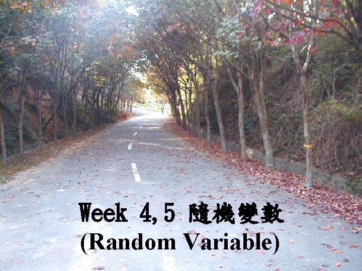 Week 4, 5 隨機變數 (Random Variable) 
