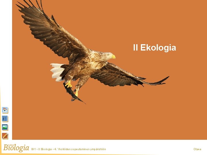 II Ekologia BI 1 • II Ekologia • 4. Yksilöiden sopeutuminen ympäristöön Otava 