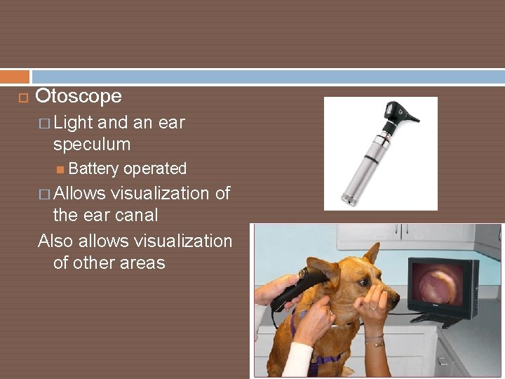  Otoscope � Light and an ear speculum Battery operated � Allows visualization of