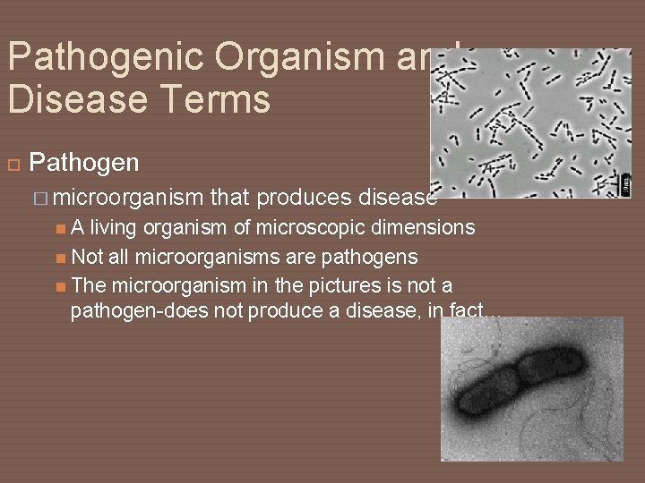 Pathogenic Organism and Disease Terms Pathogen � microorganism that produces disease A living organism