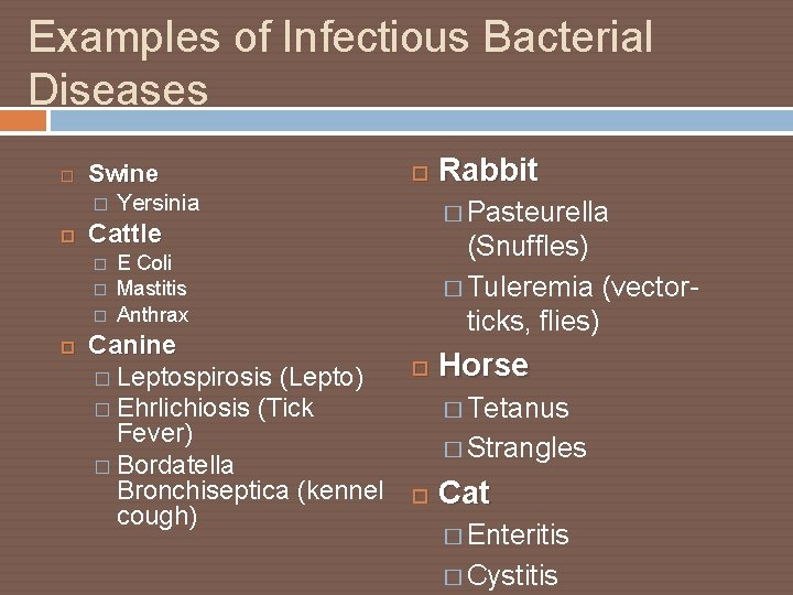 Examples of Infectious Bacterial Diseases Swine � Yersinia � � (Snuffles) � Tuleremia (vectorticks,