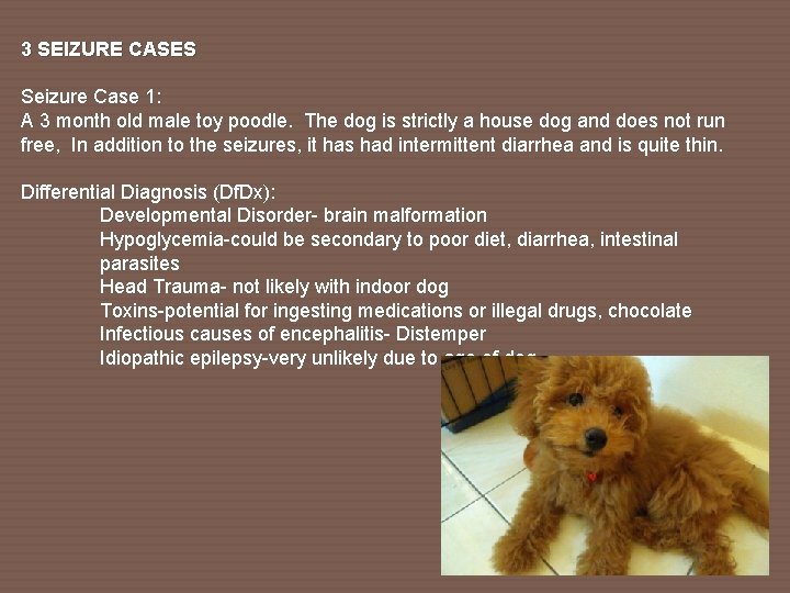 3 SEIZURE CASES Seizure Case 1: A 3 month old male toy poodle. The