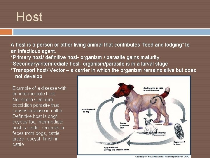 Host A host is a person or other living animal that contributes “food and