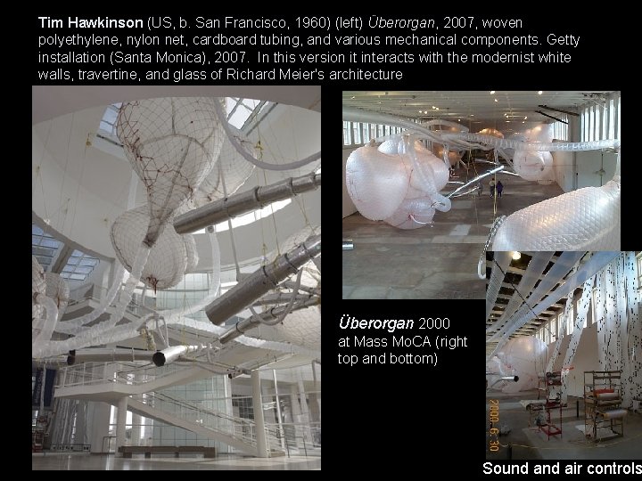 Tim Hawkinson (US, b. San Francisco, 1960) (left) Überorgan, 2007, woven polyethylene, nylon net, Tim Hawkinson (US, b. San Francisco, 1960) (left) Überorgan, 2007, woven polyethylene, nylon net,