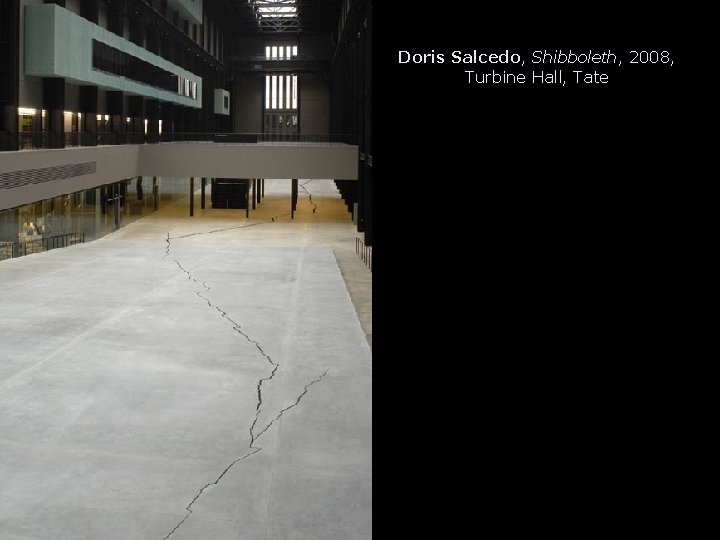 Doris Salcedo, Shibboleth, 2008, Turbine Hall, Tate Doris Salcedo, Shibboleth, 2008, Turbine Hall, Tate