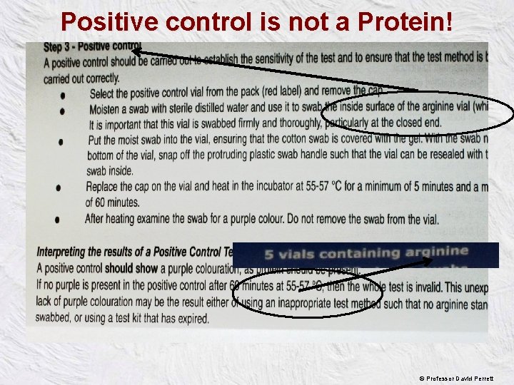 Positive control is not a Protein! © Professor David Perrett 