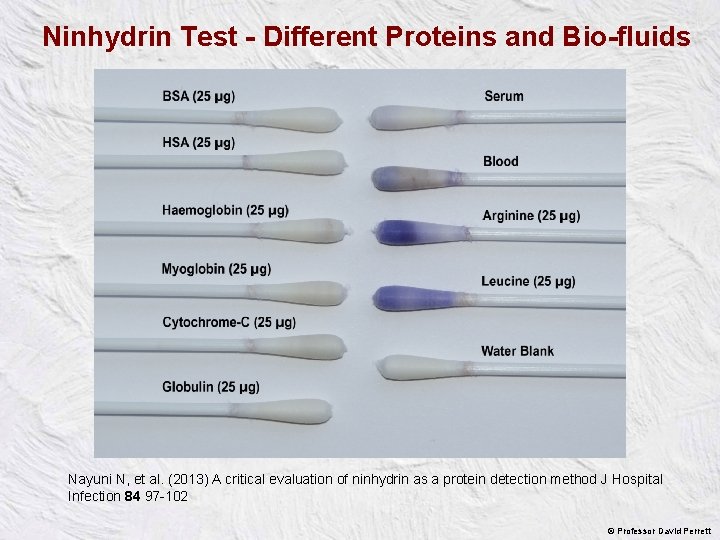 Ninhydrin Test - Different Proteins and Bio-fluids Nayuni N, et al. (2013) A critical