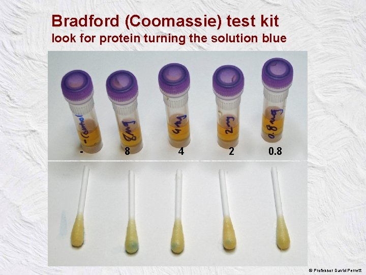Bradford (Coomassie) test kit look for protein turning the solution blue - 8 4