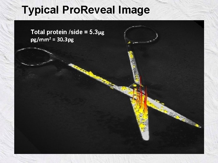 Typical Pro. Reveal Image Total protein /side = 5. 3µg pg/mm 2 = 30.