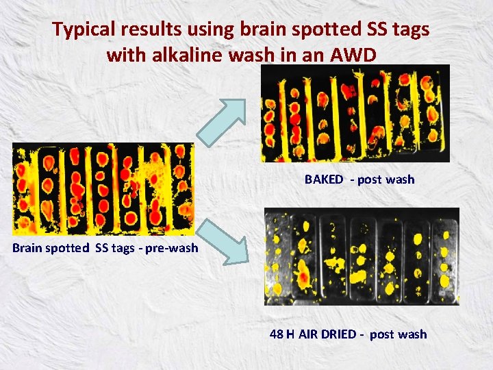 Typical results using brain spotted SS tags with alkaline wash in an AWD BAKED
