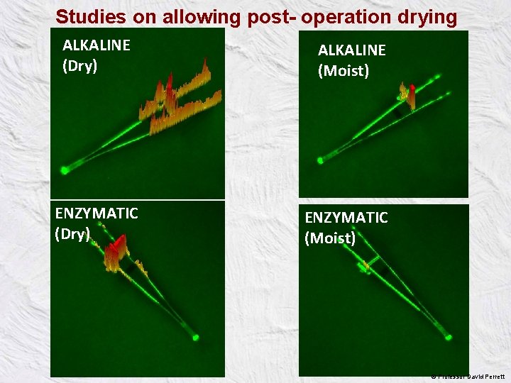 Studies on allowing post- operation drying ALKALINE (Dry) ENZYMATIC (Dry) ALKALINE (Moist) ENZYMATIC (Moist)