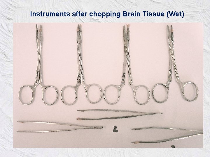 Instruments after chopping Brain Tissue (Wet) 