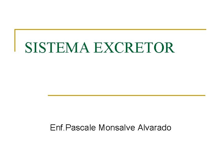 SISTEMA EXCRETOR Enf. Pascale Monsalve Alvarado 