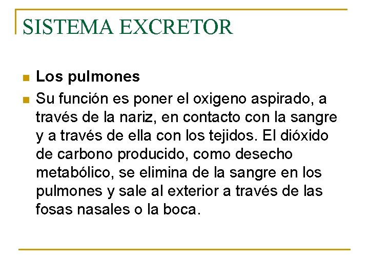 SISTEMA EXCRETOR n n Los pulmones Su función es poner el oxigeno aspirado, a