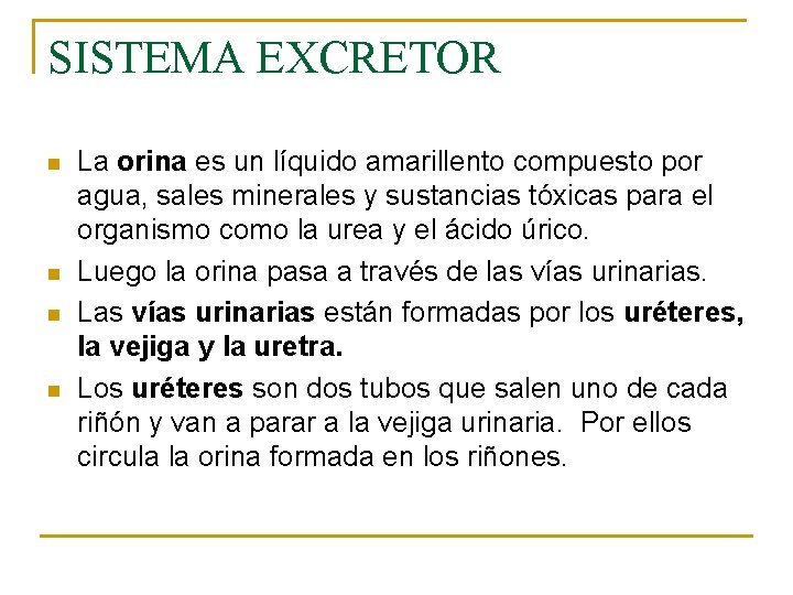 SISTEMA EXCRETOR n n La orina es un líquido amarillento compuesto por agua, sales