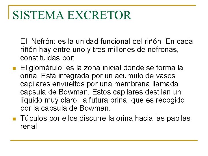 SISTEMA EXCRETOR n n El Nefrón: es la unidad funcional del riñón. En cada SISTEMA EXCRETOR n n El Nefrón: es la unidad funcional del riñón. En cada