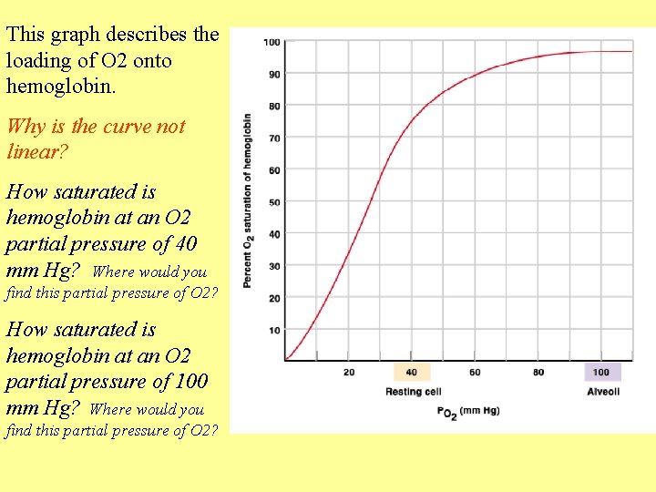 This graph describes the loading of O 2 onto hemoglobin. Why is the curve