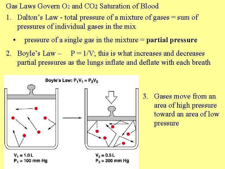 Gas Laws Govern O 2 and CO 2 Saturation of Blood 1. Dalton’s Law