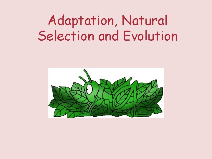 Adaptation, Natural Selection and Evolution 