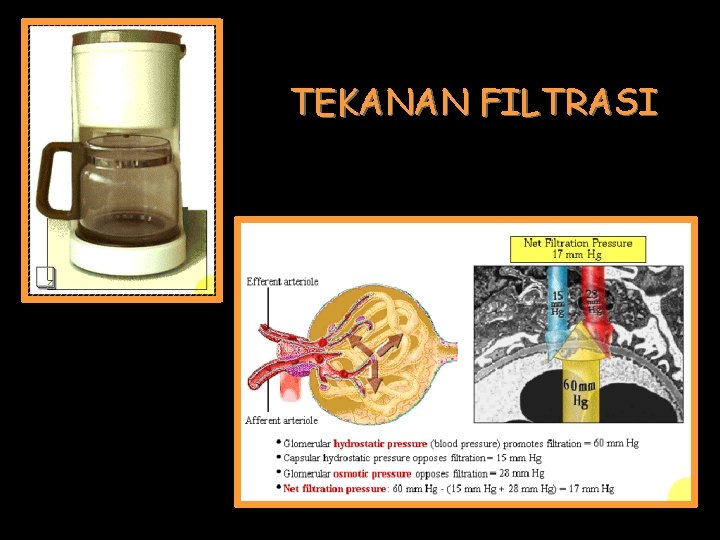 TEKANAN FILTRASI 