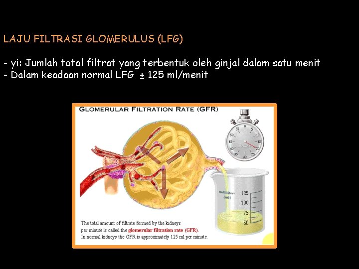 LAJU FILTRASI GLOMERULUS (LFG) - yi: Jumlah total filtrat yang terbentuk oleh ginjal dalam