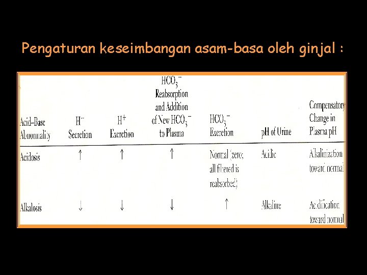 Pengaturan keseimbangan asam-basa oleh ginjal : 