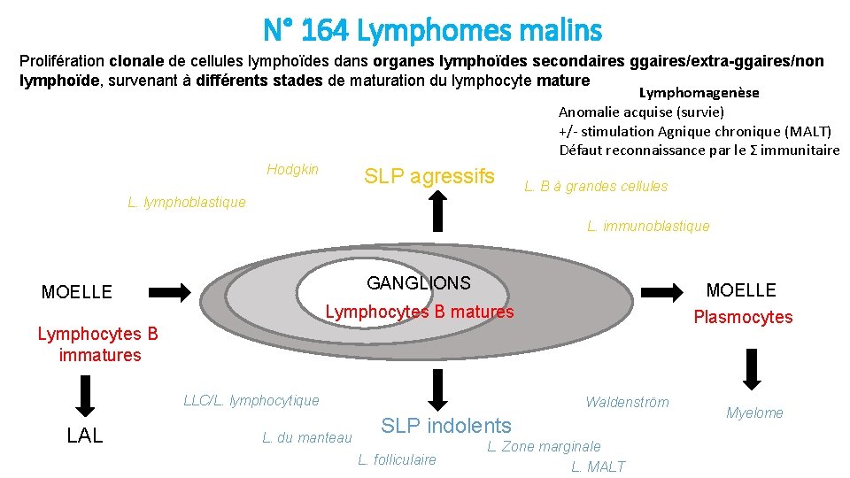N° 164 Lymphomes malins Prolifération clonale de cellules lymphoïdes dans organes lymphoïdes secondaires ggaires/extra-ggaires/non