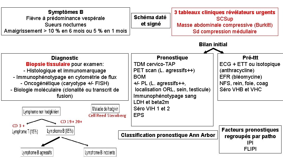 Symptômes B Fièvre à prédominance vespérale Sueurs nocturnes Amaigrissement > 10 % en 6