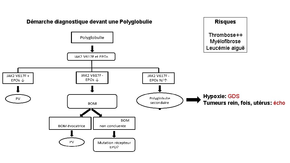 Démarche diagnostique devant une Polyglobulie Risques Thrombose++ Myélofibrose Leucémie aiguë Hypoxie: GDS Tumeurs rein,