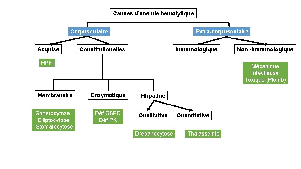 Causes d’anémie hémolytique Corpusculaire Acquise Extra-corpusculaire Constitutionelles Immunologique HPN Non -immunologique Mécanique Infectieuse Toxique