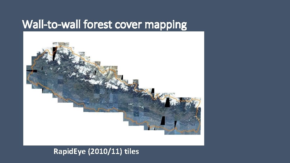 Wall-to-wall forest cover mapping Rapid. Eye (2010/11) tiles 