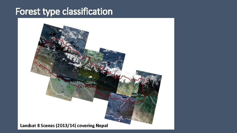 Forest type classification Landsat 8 Scenes (2013/14) covering Nepal 
