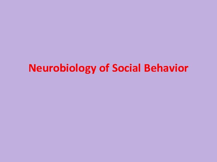 Neurobiology of Social Behavior 
