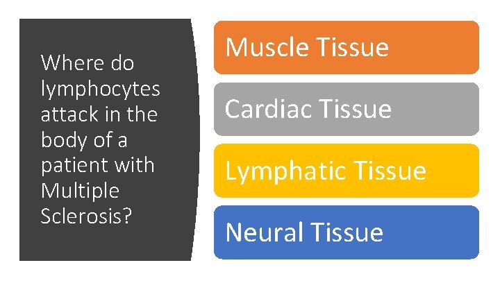 Where do lymphocytes attack in the body of a patient with Multiple Sclerosis? Muscle