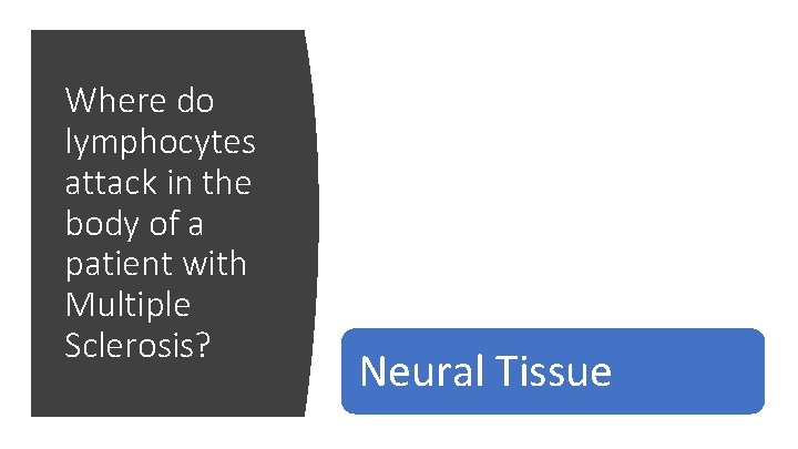 Where do lymphocytes attack in the body of a patient with Multiple Sclerosis? Muscle