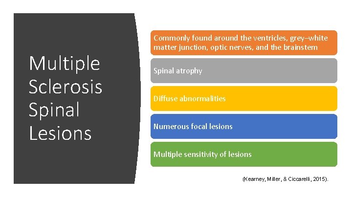 Multiple Sclerosis Spinal Lesions Commonly found around the ventricles, grey–white matter junction, optic nerves,