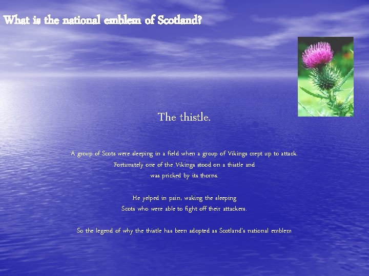 What is the national emblem of Scotland? The thistle. A group of Scots were