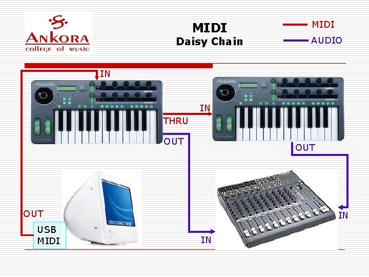 MIDI Daisy Chain MIDI AUDIO IN IN THRU OUT OUT USB MIDI IN IN