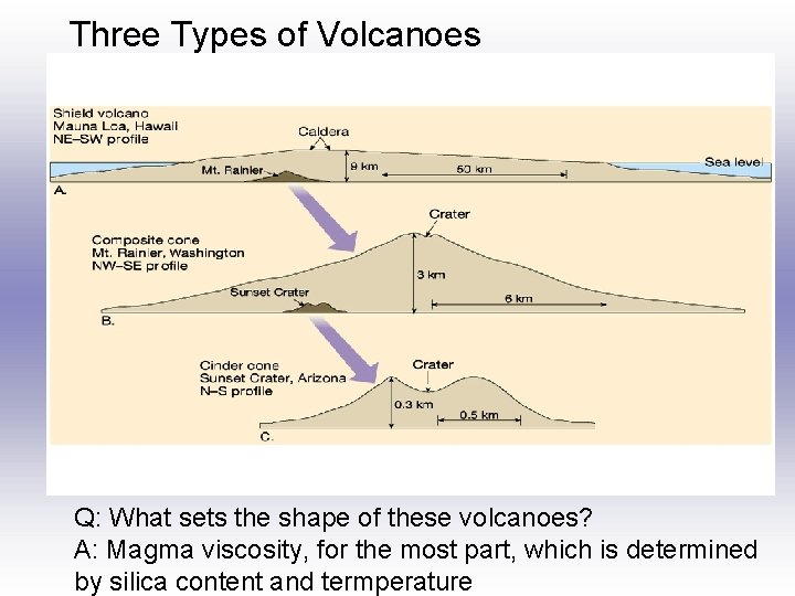 Three Types of Volcanoes Q: What sets the shape of these volcanoes? A: Magma
