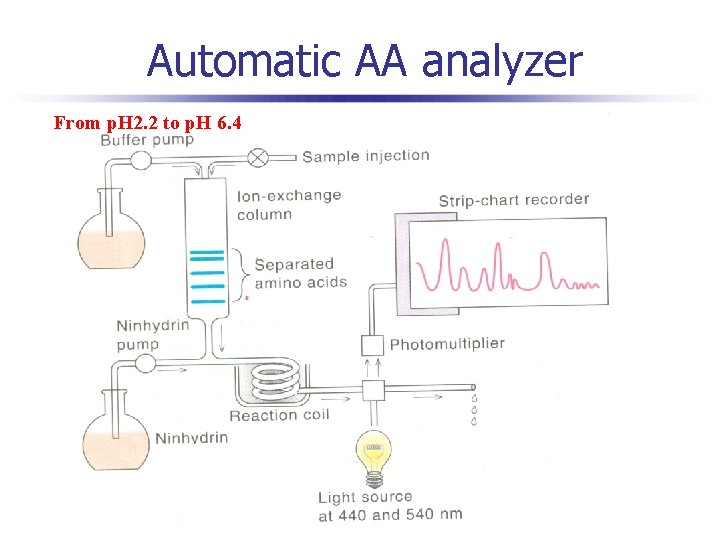 Automatic AA analyzer From p. H 2. 2 to p. H 6. 4 