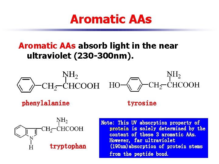 Aromatic AAs absorb light in the near ultraviolet (230 -300 nm). phenylalanine tryptophan tyrosine