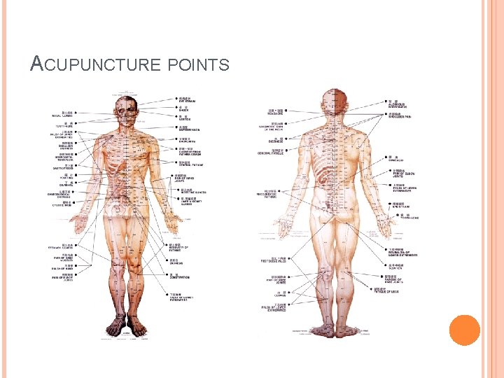 ACUPUNCTURE POINTS 